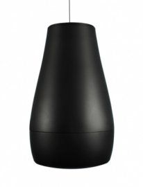 Громкоговоритель Desono P6 Black